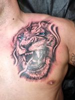 Tattoo Modelle gesucht Studio Realistic Maori fineline Nordrhein-Westfalen - Kamen Vorschau