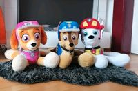 Kuscheltiere Paw Patrol XXL- Skye, Marshall, Chase Thüringen - Gera Vorschau