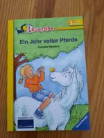 Buch Leserabe 3.Lesestufe Niedersachsen - Emmerthal Vorschau