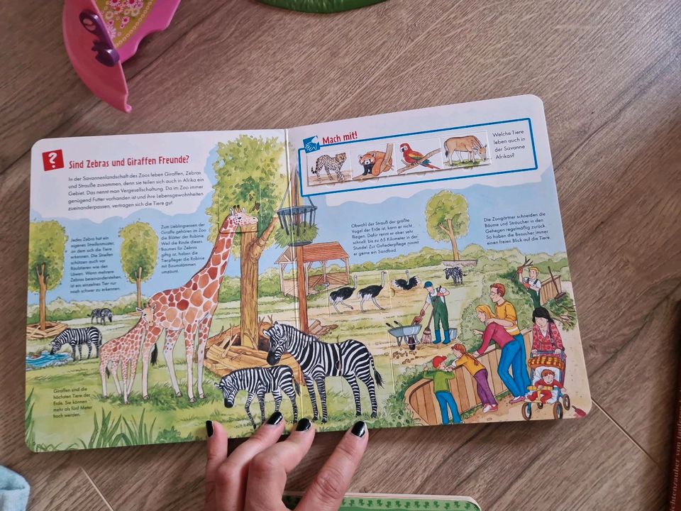 Im Zoo Was ist Was Buch und Formen und Farben Kleinkind in Dentlein am Forst