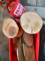 Holzscheiben verschiedene Größen und Baumarten Bayern - Saal Vorschau