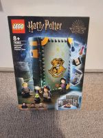 Lego Harry Potter Zaubertrankunterricht 76383 Brandenburg - Rüdersdorf Vorschau