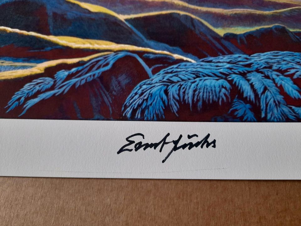 Ernst Fuchs Surrealismus Kunstdruck Druckgraphik handsigniert in Fürth