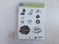 Stampin Up Stippled Blossoms Holzstempel Blumen Brandenburg - Potsdam Vorschau