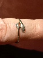 Fingerring Motiv 2 Delphine sehr alt Hessen - Rotenburg Vorschau