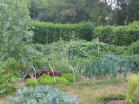 Garten - Nutzgarten / Obst Gemüse Kräuter - kein Schrebergarten Nordrhein-Westfalen - Bergisch Gladbach Vorschau