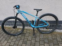 Cube Access WS Race - 2023 - 29 Zoll - Diamant Sachsen-Anhalt - Frose Vorschau