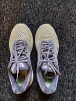Asics GT 2000 Laufschuhe Niedersachsen - Delmenhorst Vorschau