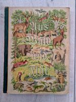 Zigarettenbilder Sammelalbum  „Aus Wald und Flur“ von 1938 Brandenburg - Ferch Vorschau