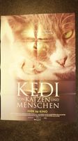 Kinoplakat "Kedi - Von Katzen und Menschen", DIN A1 Bayern - Bad Windsheim Vorschau