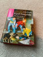 Fünf Freunde Buch Nordrhein-Westfalen - Freudenberg Vorschau