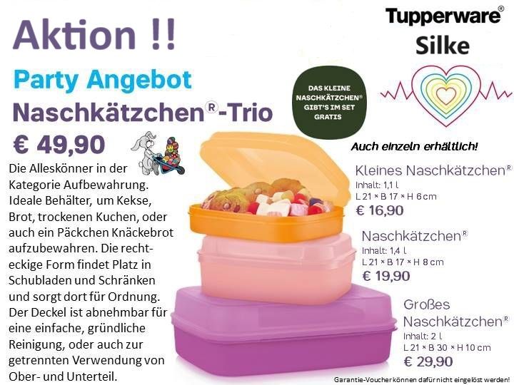 Tupperware Eiskristall Set (4-tlg.) Neu !! - Aktion in Höchstädt a.d. Donau