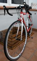 Rennrad - Carbonflitzer - WILIER Triestina pro race Nordrhein-Westfalen - Viersen Vorschau