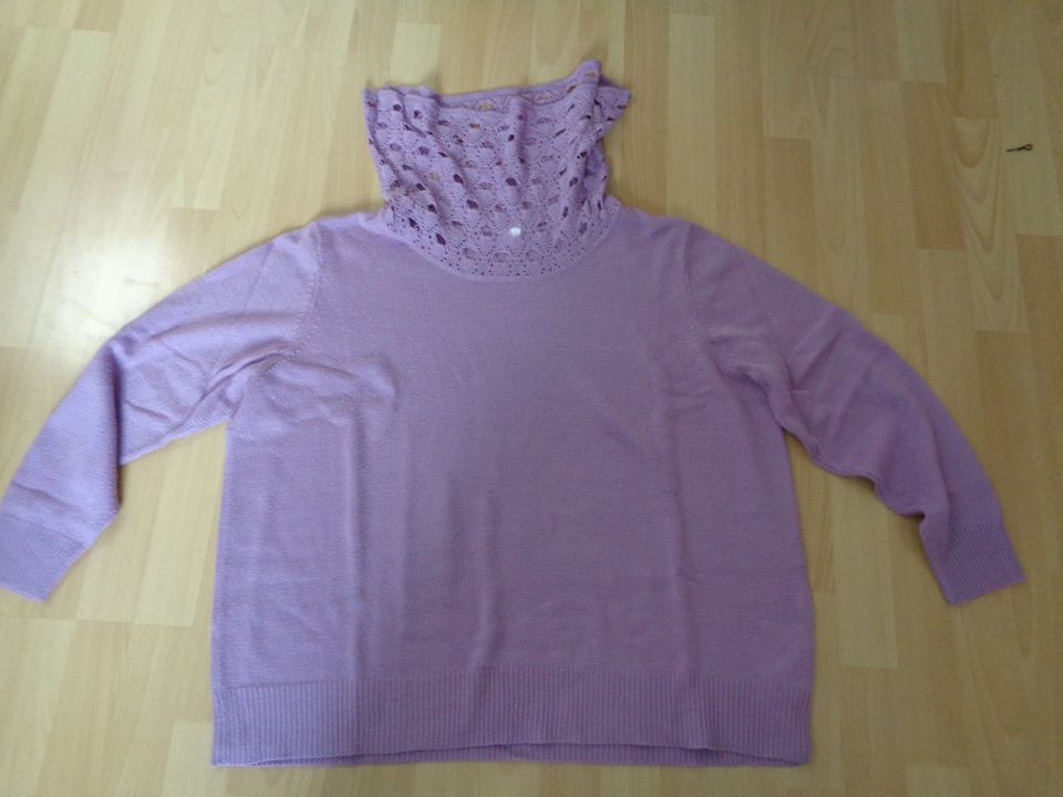 Damen Pullover mit halsfernen Rollkragen, Gr. 50, lila in Bremerhaven
