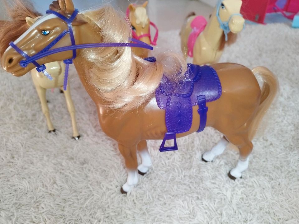 Barbie Pferde Set (4st.) in Langquaid