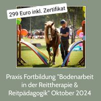 Praxis Seminar Bodenarbeit in der Reittherapie & Reitpädagogik Brandenburg - Wittenberge Vorschau