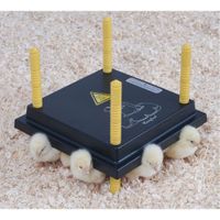 Comfort Wärmeplatten für Küken Hühner Wachteln verschiedene Maße Niedersachsen - Bad Pyrmont Vorschau