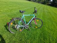 Herren Fahrrad Trekking   WINORA. TOP ... Einsatzbereit Rheinland-Pfalz - Frankenthal (Pfalz) Vorschau