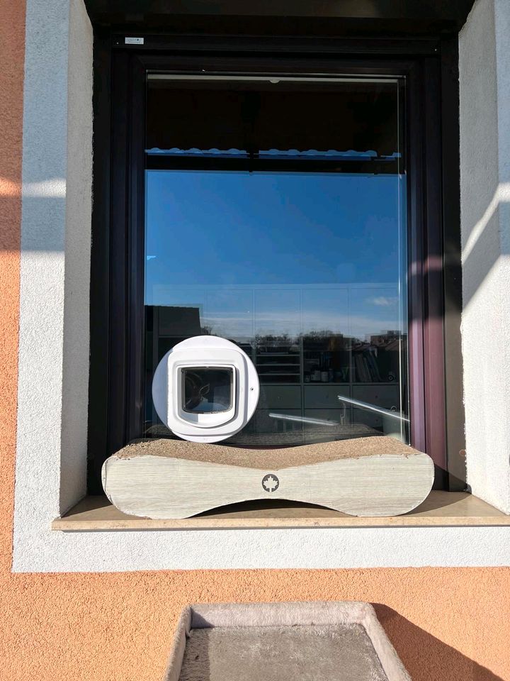 Fensterglas 77,5 x 109 cm Ausschnitt rund Katzenklappe PetSafe in Remshalden
