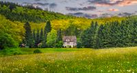 Suchen Haus in Natur-Alleinlage im Dreiländereck Bodensee Baden-Württemberg - Tübingen Vorschau