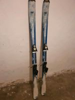 Ski Salomon 160 cm Sachsen - Görlitz Vorschau