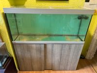 Eheim Aquarium 240l mit Unterschrank Hessen - Rüsselsheim Vorschau