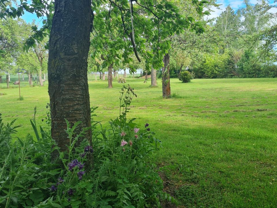 Bauerhof - Vierseitenhof- Altenburger Land in Schmoelln