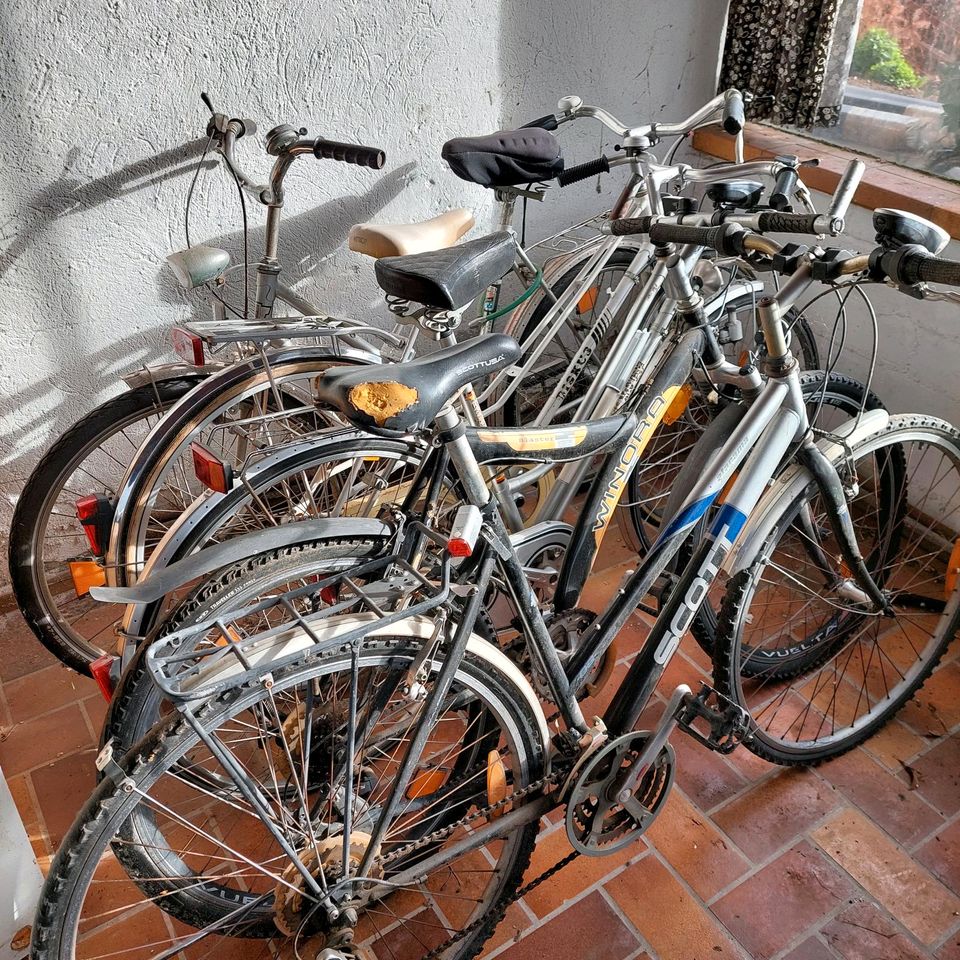 Fahrräder 3 st in Niedernberg