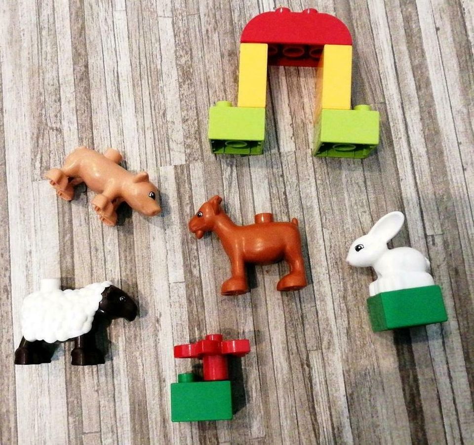 Lego duplo Bauernhof Tiere 10522 in Winterberg