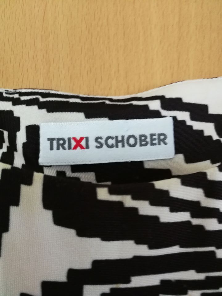 TRIXI SCHOBER Kleid Gr. 44 46 Kofferkleid in Reutlingen