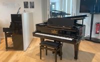 Steinway & Sons Flügel Modell B 211 Dresden - Innere Altstadt Vorschau