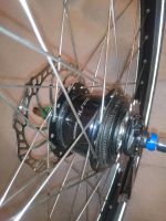 Laufrad Shimano Alfine 28" Hinterrad Baden-Württemberg - Biberach an der Riß Vorschau