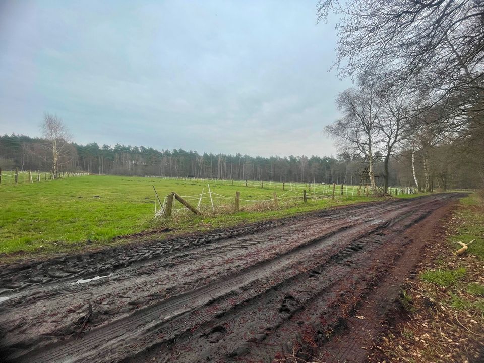 Landwirtschafts- und Waldfläche in Burgwedel