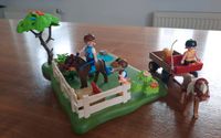 Playmobil  Country Ponykoppel mit Ponywagen  5457 Bayern - Lohr (Main) Vorschau