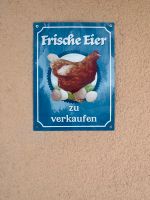 Frische Eier Bayern - Neumarkt i.d.OPf. Vorschau