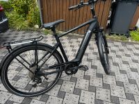 Pegasus E-Bike Evo 10 Opero ,28 Zoll Nordrhein-Westfalen - Bergisch Gladbach Vorschau
