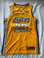Nike Icon Swingman LA Lakers LeBron James Trikot Rheinland-Pfalz - Heidesheim Vorschau