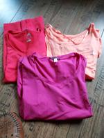 3 Neue Sport Tshirt  ,2 Adidas gr 46 .top Brandenburg - Sedlitz Vorschau
