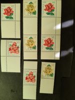 Briefmarken DDR 1972, Int. Rosenausst. 6x Kombinationen ** Borsdorf - Zweenfurth Vorschau