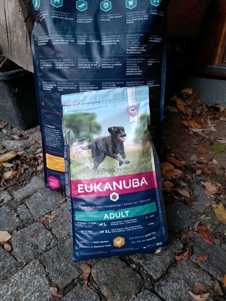 15 kg Qulitäts-Marken Hundefutter Eukanuba Adult Large Breed in Dresden