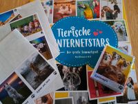 Tierische Internetstars Panini Sticker 2021 Baden-Württemberg - Emmendingen Vorschau