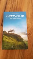 Buch Ostwind der große Orkan Baden-Württemberg - Berkheim Vorschau