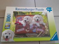 ❤️ Ravensburger 100 Teile Labrador Welpen Im Koffer Rheinland-Pfalz - Saulheim Vorschau