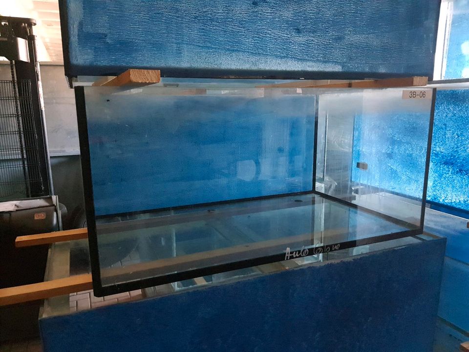 2 x Aquarium Zuchtbecken Zuchtanlage 100 x 60 x 45 in Leinefelde