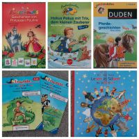 5 Kinderbücher für Leseanfänger Nordrhein-Westfalen - Gronau (Westfalen) Vorschau