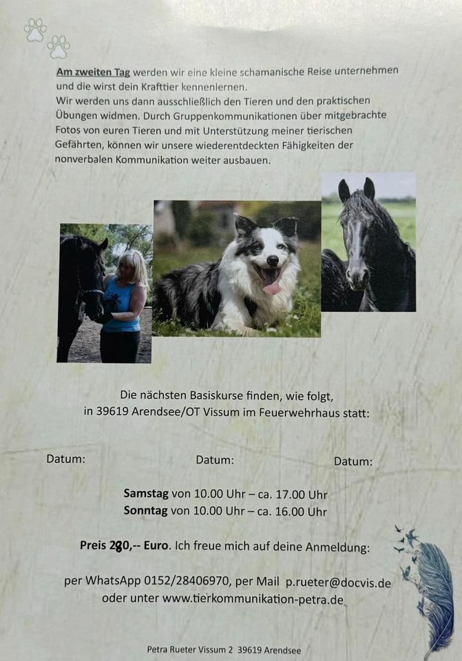 Tierkommunikation erlernen in Arendsee (Altmark)