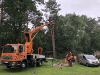 Baumpflege / Baumfällung / Sturmschäden /Baumbewässerung Niedersachsen - Schneverdingen Vorschau