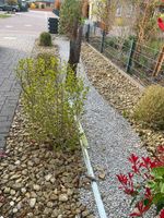 Ziersteine für Steinbeet zu verschenken Niedersachsen - Bad Nenndorf Vorschau