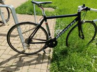 Rennrad Bianchi Pinella wie Neu. Nordrhein-Westfalen - Iserlohn Vorschau