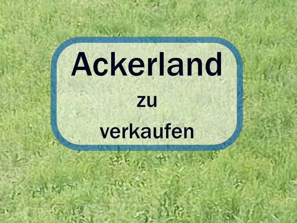 Ackerland - Bitburg - VB 10.000 € in Bitburg